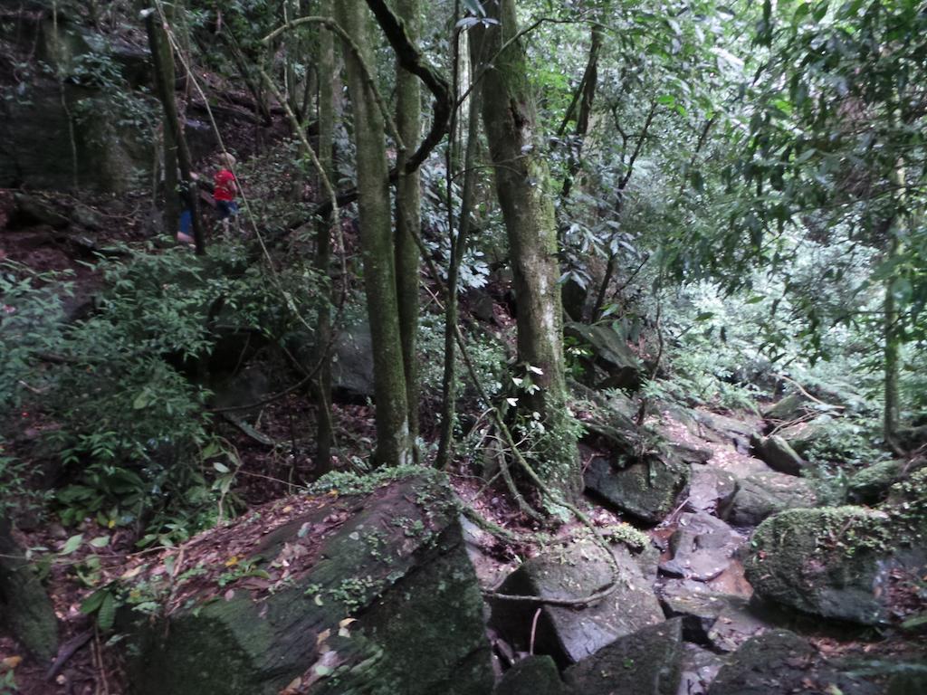 Recanto Dos Pioneiros Nova Petropolis Eksteriør bilde