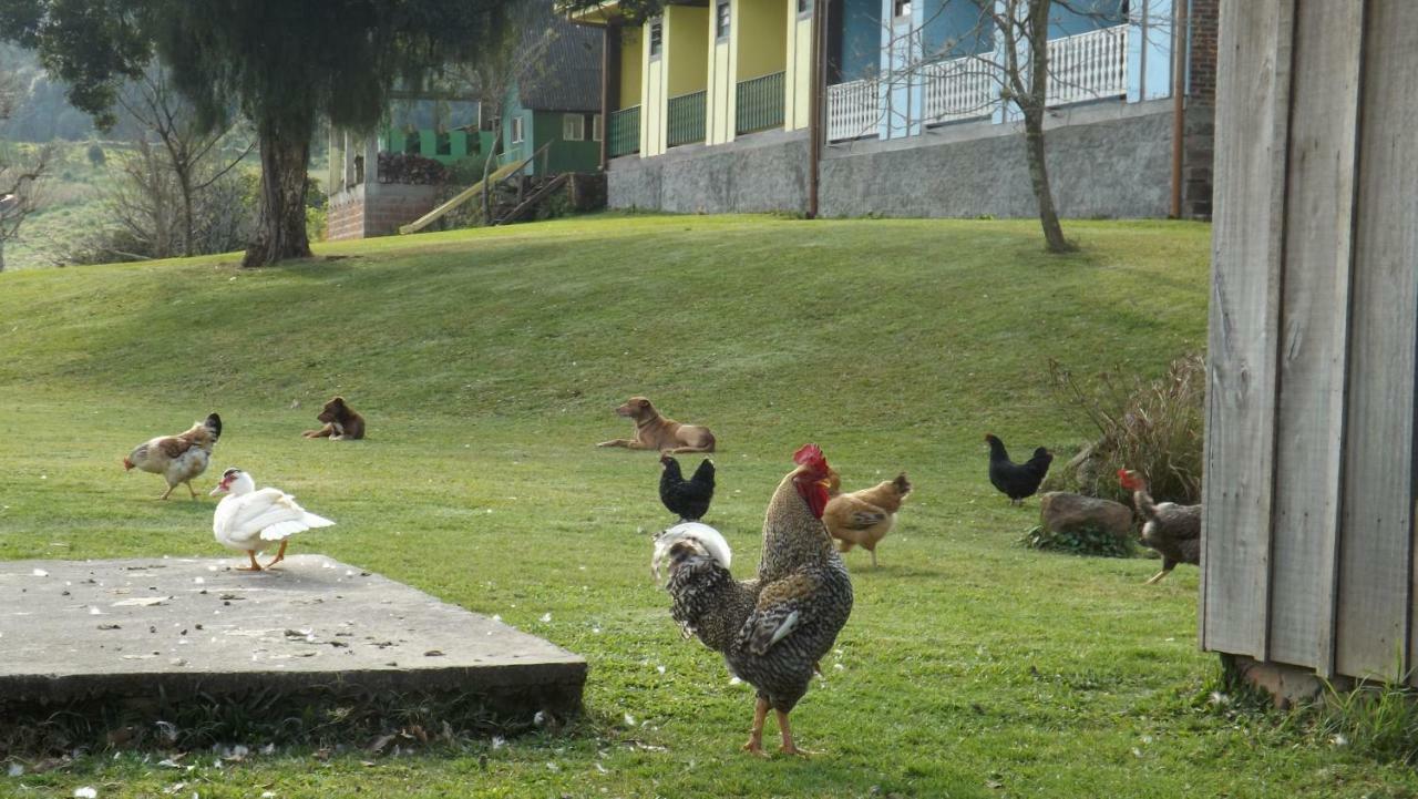 Recanto Dos Pioneiros Nova Petropolis Eksteriør bilde